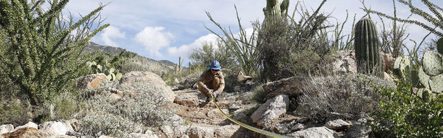 Desert trail