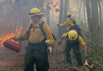 Wfire Prescribed Burn