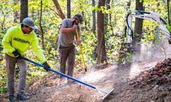 02 Trail01 Wild Turkey Photoby Chad Reich