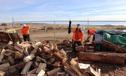 Wood For Hopi And Navajo