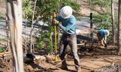 0401 Spencertrail Cb1