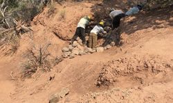 Zuni crew members working on a dirt slope