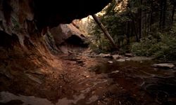 A rock overhang creating a cave area in the trail