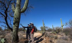 Two people stand below a saguaro with loppers