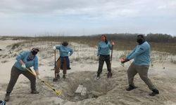 Screen Shot 2022 01 21 At 11 01 16 Am