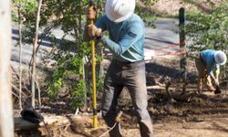 Crew member tamps down a section of trail