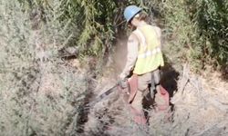 Member chainsaws brush