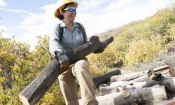 Crew member carries a log