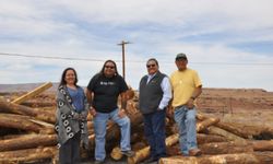 Four people stand on a log pile