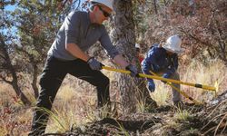 Two crew members rake the grass and soil on a hill