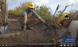 Screen Shot 2022 03 08 At 9 16 18 Am