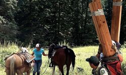 Smoke Jumper Alumni Article