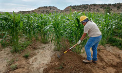 Ancestral Lands Acoma Farming Photo