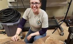 Geologist in the Park (GIP) paleontology intern Emily Thorpe examines the recently discovered Permian reptile