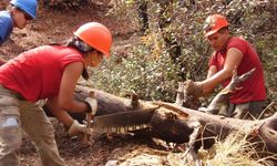YCOSA Crew using crosscut saw