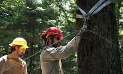 Crew members setting up the highline