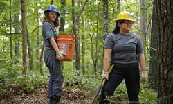 48171553386 7B3258Abdd O