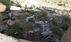 Valerie Guest Column T715