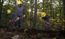 31765713668 1178F89D90 O