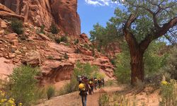 Photo Sep 13 12 53 13