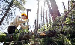 42707233432 4930F29882 O