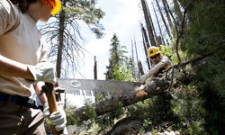 42025471474 Ec2C5312Ef O