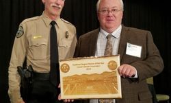 Dpwaward Ccc 400X345