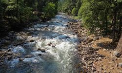 Thomas Haas Ovz4T M3Gl4 Q Unsplash