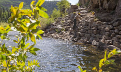 48789529518 B91333F135 O