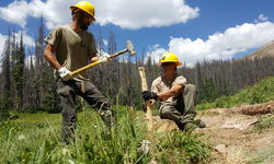 40856646194 4479C52A8C O