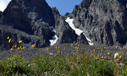 48649972117 11Ca9De5Ab O