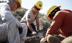 43989509402 A0C0A67854 O