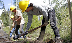 48426582087 68A5Ca754E O