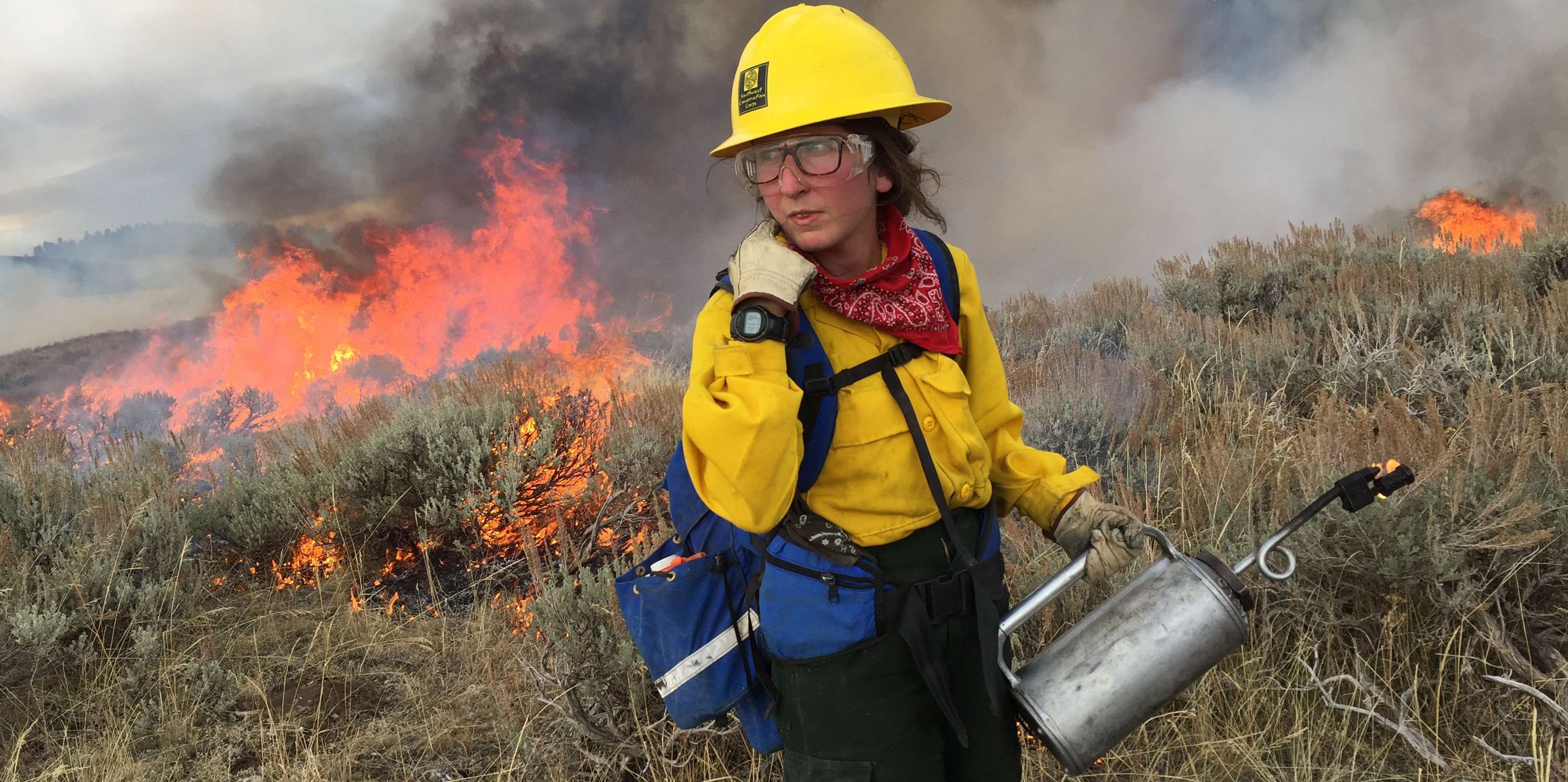 wildland firefighters in action