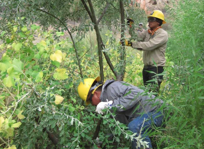Southwest Conservation Corps Ancestral Lands Crew Members Work in Glen Canyon NRA